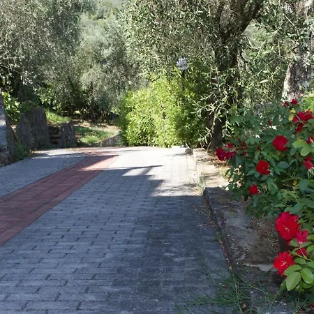 Lejlighed Charme And Comfort Near Cinque Terre By Wonderful Italy